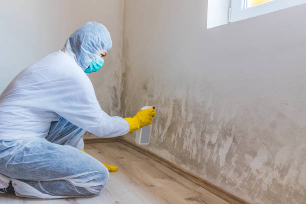 Licensed Mold Remediation service in Fremont, NC - 24 Hour Mold Removal