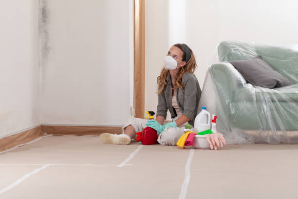 Reliable Mold Remediation contractor in Fremont, NC by 24 Hour Mold Removal